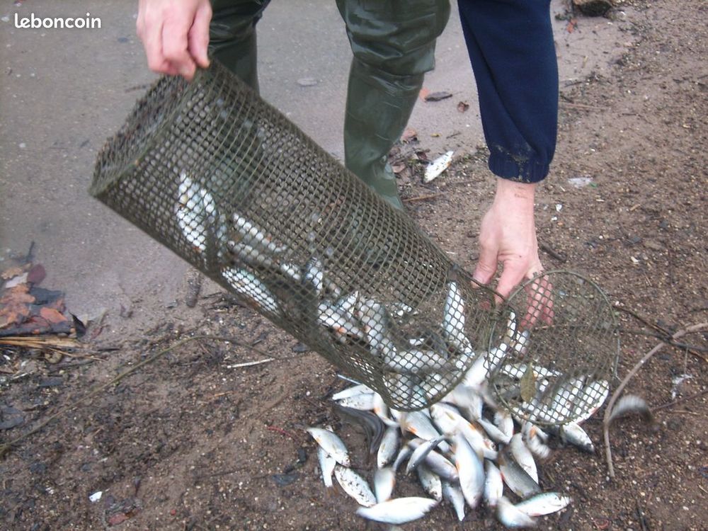 peche casiers pour vifs Sports