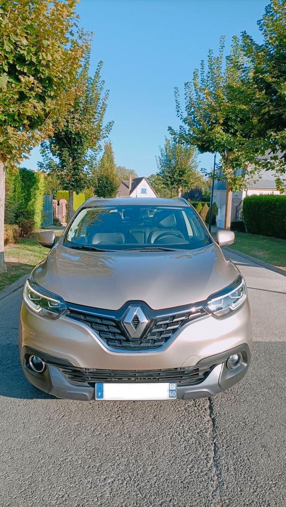 Kadjar dCi 110 Energy eco&sup2; Intens EDC 2016 occasion 60120 Breteuil