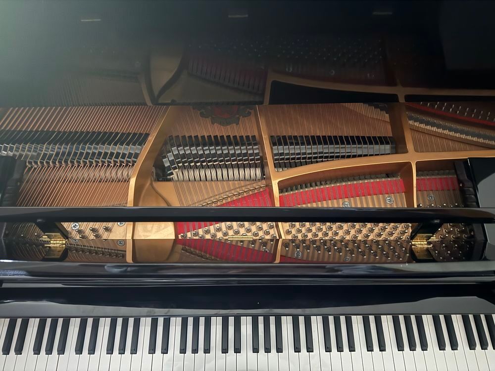 un piano &agrave; queue Wurlitzer,
Mod&egrave;le : C153 Instruments de musique