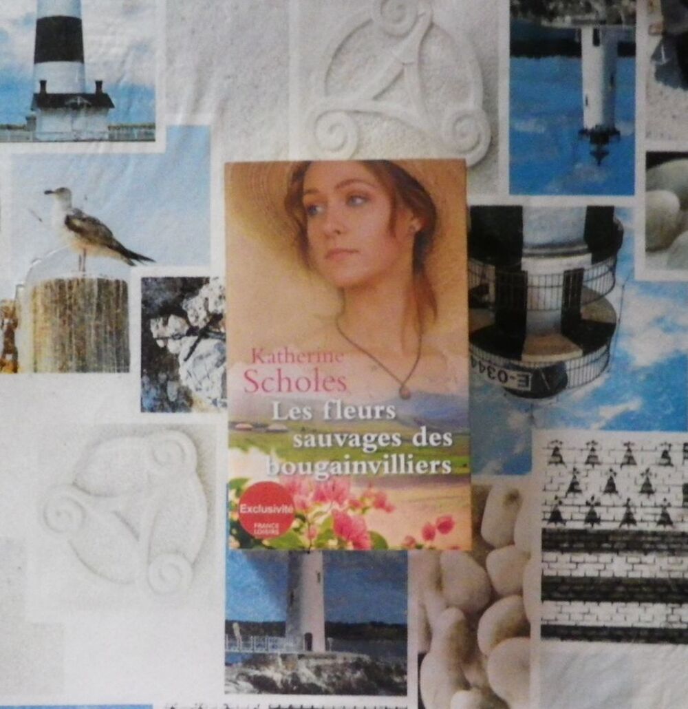 LES FLEURS SAUVAGES DES BOUGAINVILLIERS de Katherine SCHOLES Livres et BD