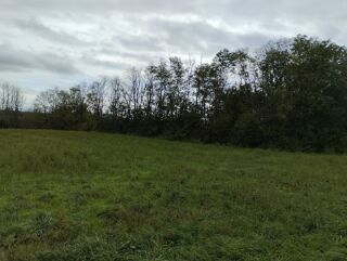  Terrain  vendre 1000 m