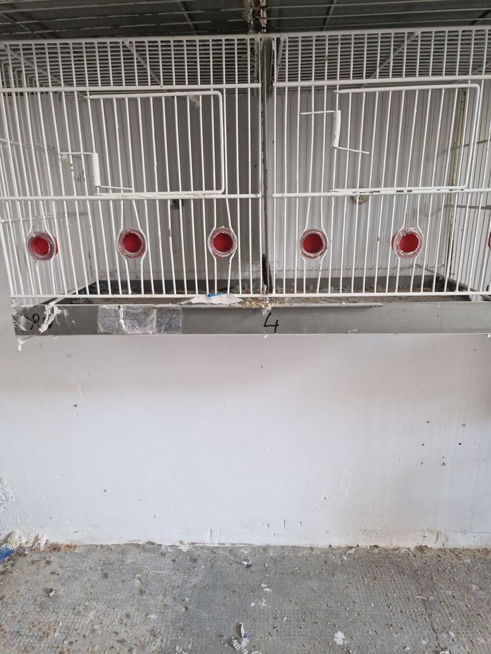   Cage de reproduction 