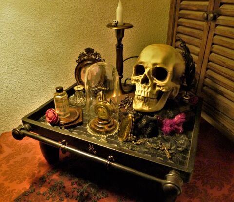 Cabinet de Curiosits   VANITE- MEMENTO MORI  Steampunk 160 Mont-de-Marsan (40)