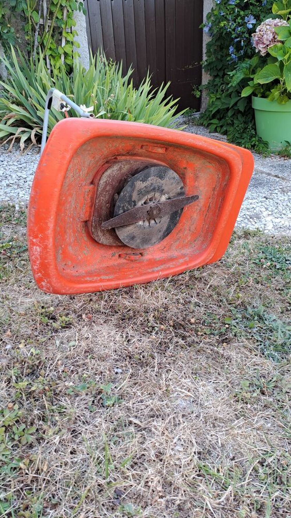 Tondeuse &agrave; gazon Flymo &eacute;lectrique filaire. Jardin