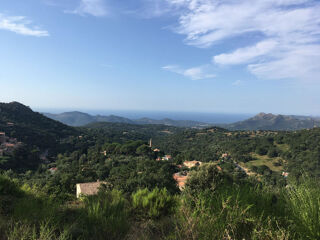  Terrain  louer 900 m Ville-di-paraso
