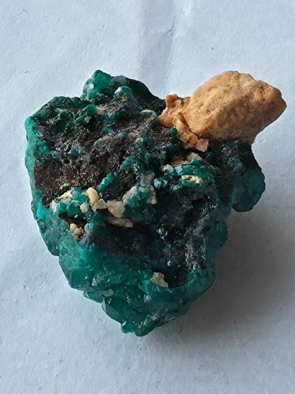V&eacute;ritable Dioptase Verte sur gangue-Sp&eacute;cimen de 15g du Congo 