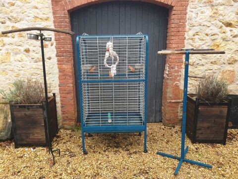 Perroquet CAGE 150 Montigny-Lencoup (77)