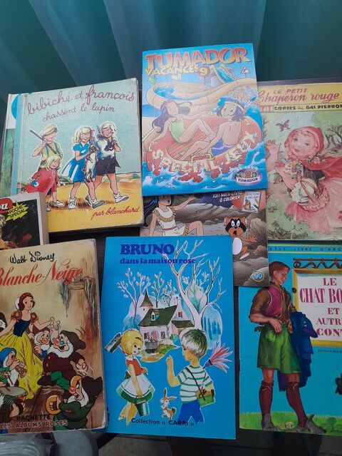 Lot de livres pour enfant en couleur 5 Montblanc (34)