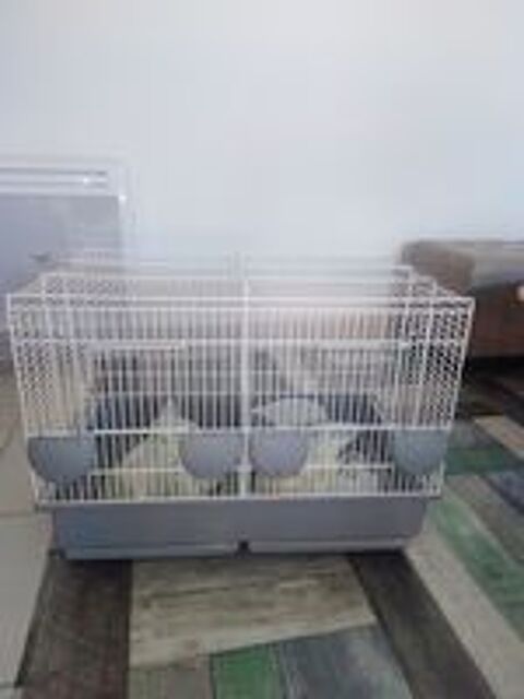   cage a oiseaux 