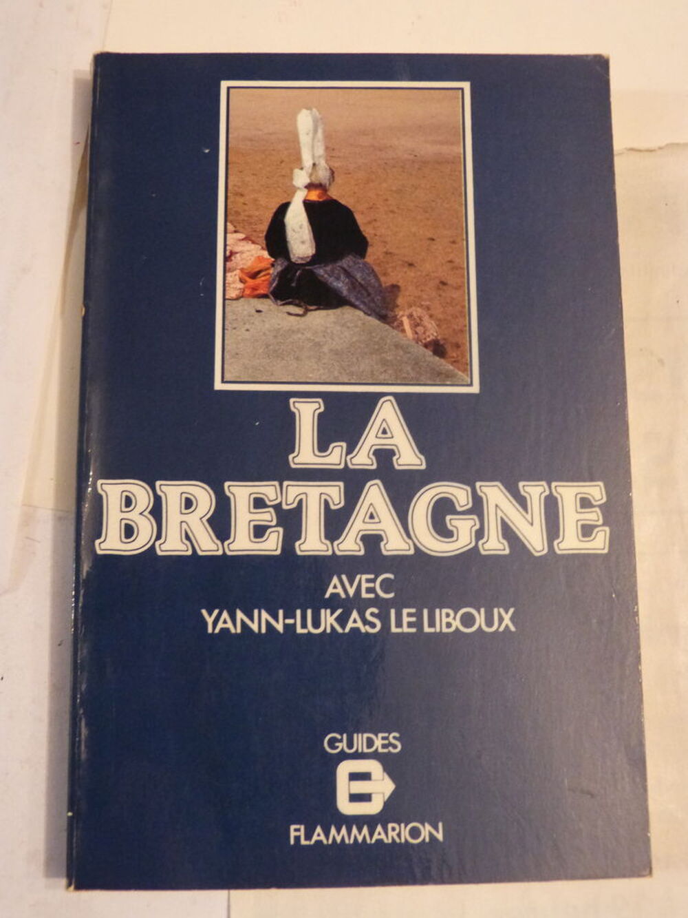LA BRETAGNE par YANN LUKAS LE LIBOUX Livres et BD