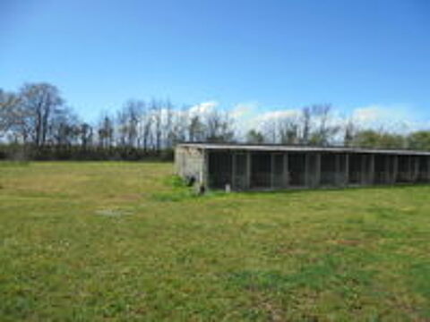   pension canine et feline  