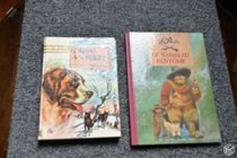 2 livres jeunes enfants 0 Mérignies (59)