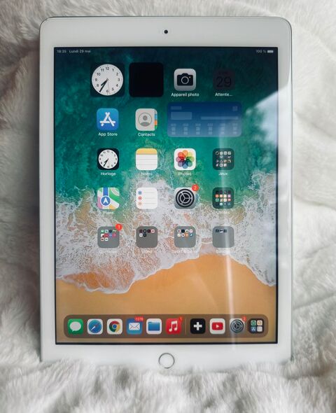 iPad 5 Silver 32Go 230 Venerque (31)