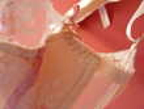 WELL Lingerie femme soutien gorge dentelle 85B neuf Vtements