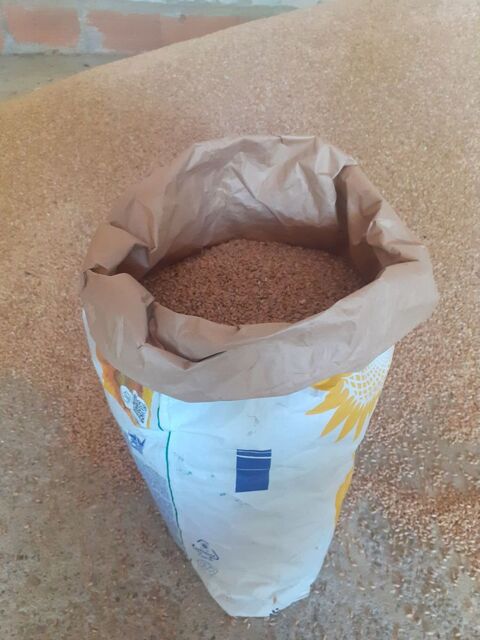 sac de triticale Bio 10 32130 Noilhan