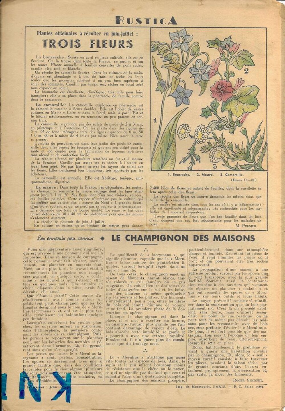 Rustica , Journal No 27 de 1941 la Production du Fenouil Livres et BD