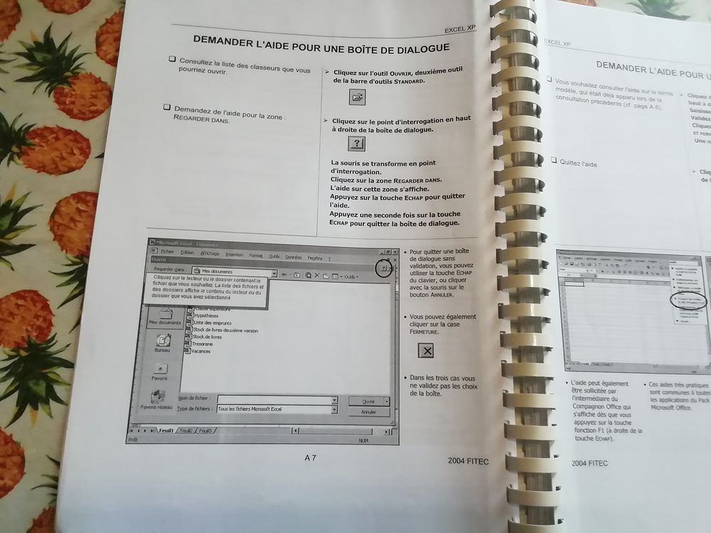 Cahier initiation EXEL XP stage FITEC Matériel informatique