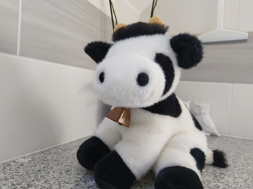 Peluches vache
Jeux / jouets