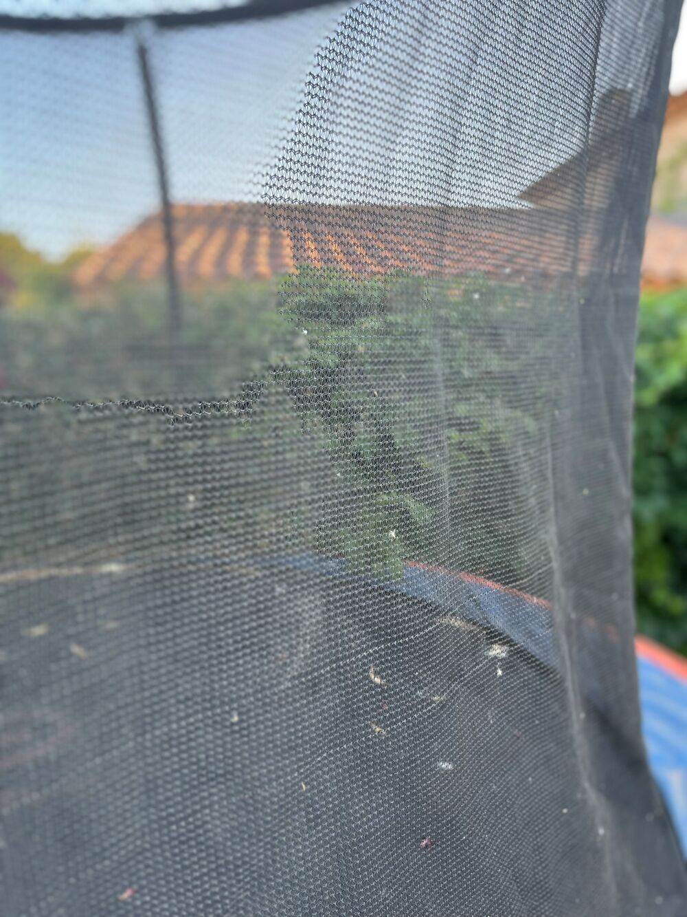 trampoline de 3m tr&egrave;s bon &eacute;tat Jardin