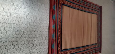 TAPIS DE  SALON OU SALLE A MANGER
80 Perpignan (66)