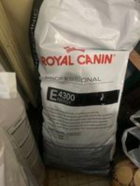   Croquettes royal canin Energy 4300 