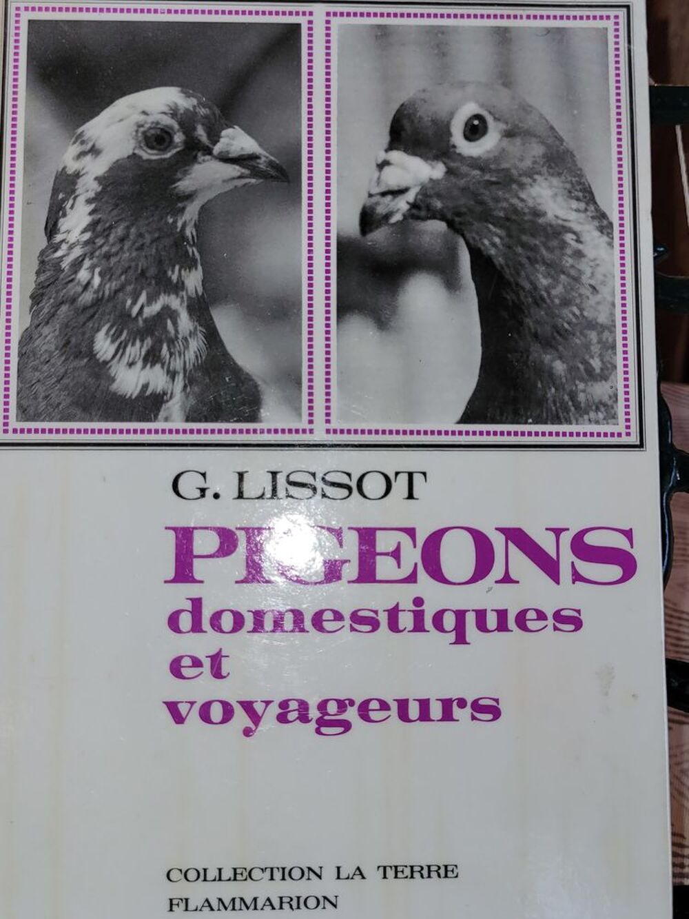 Livre Pigeons Voyageurs Livres et BD