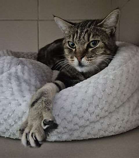 Faustine 200 26700 Pierrelatte