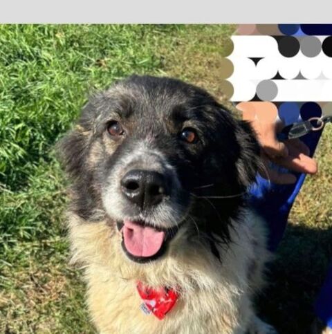 LINDA 320 27620 Gasny