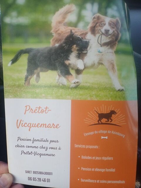 Garde de chien 15 76560 Pr�tot-vicquemare