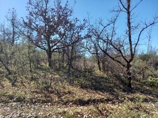  Terrain  vendre 8000 m