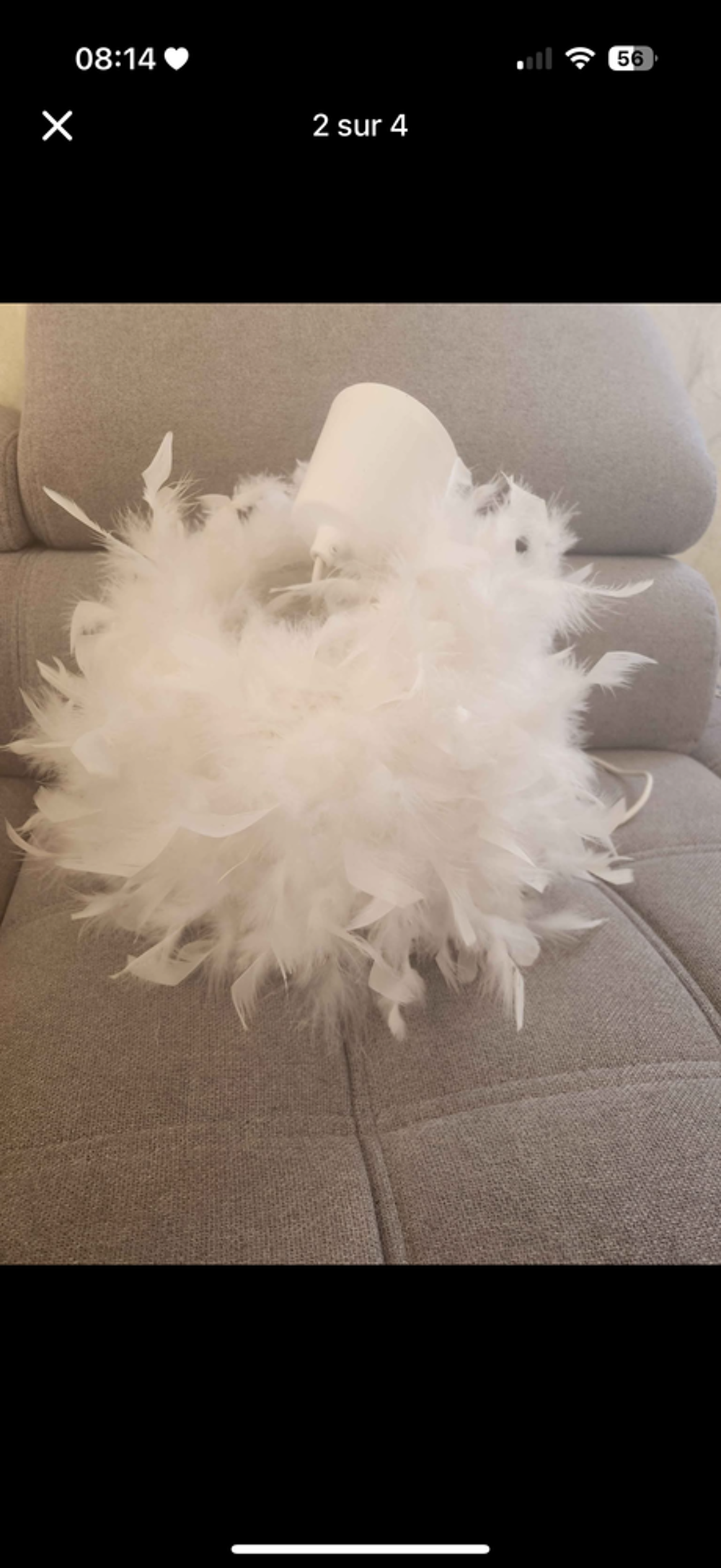 Luste plume Décoration