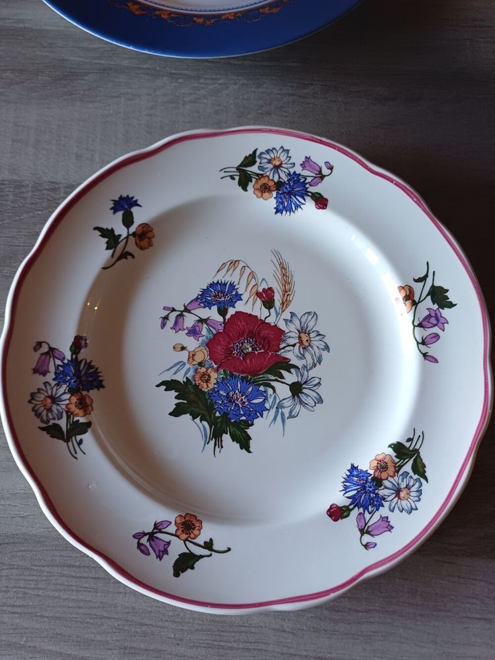 Assiette porcelaine pyroblan de sarreguemines Cuisine