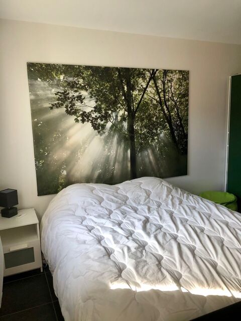  Appartement � louer 1 pi�ce 34 m�