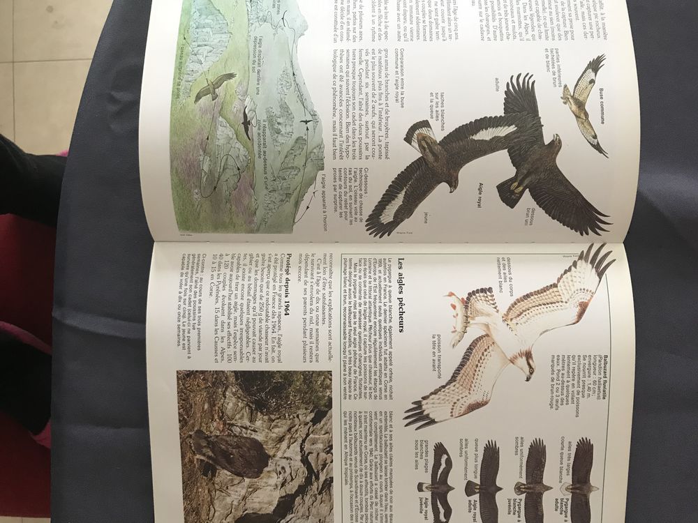 Livres Encyclop&eacute;die Cousteau Livres et BD