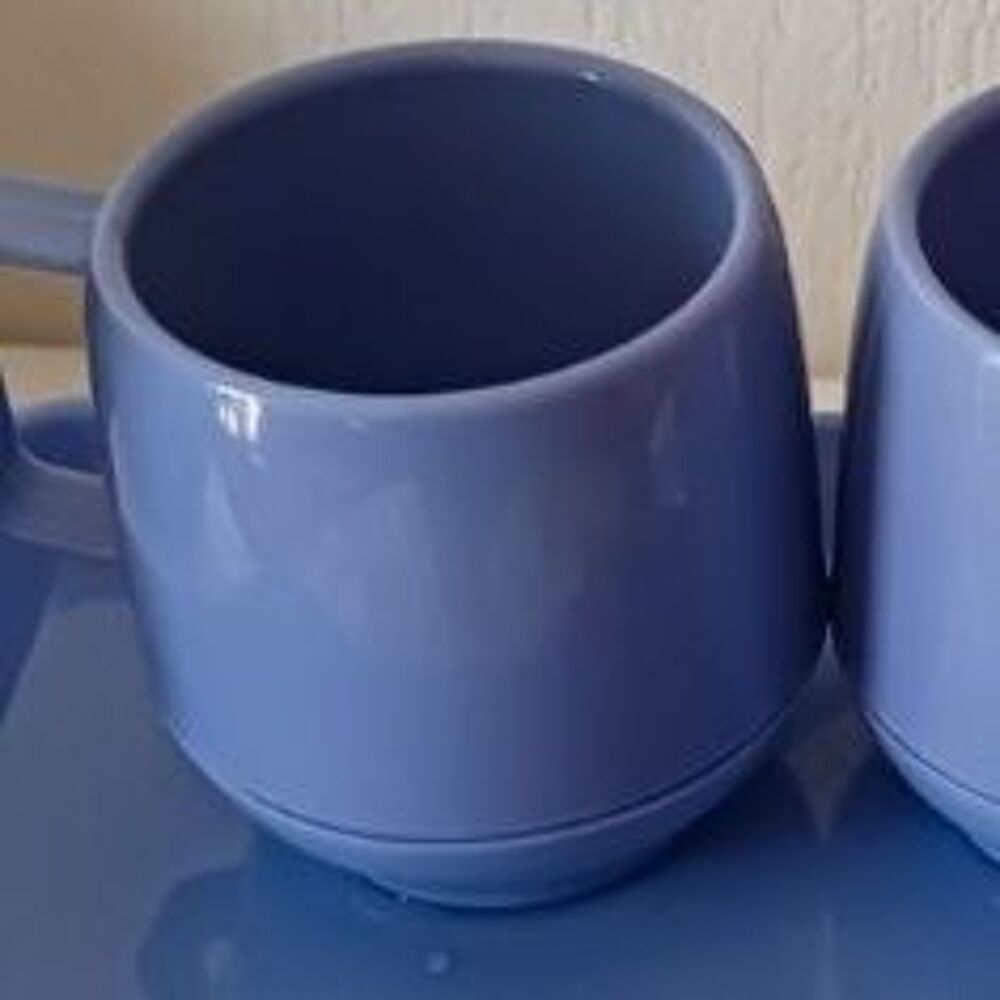 Set thermos en plastique bleu comprenant 1 plateau 2 tasses Electroménager