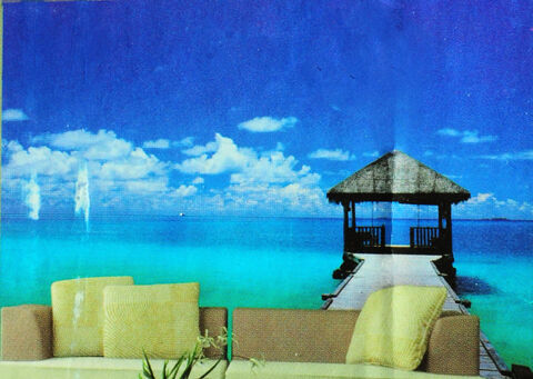 (205) Dcoration couleur fond affiches sur les Maldives. 40 Alfortville (94)