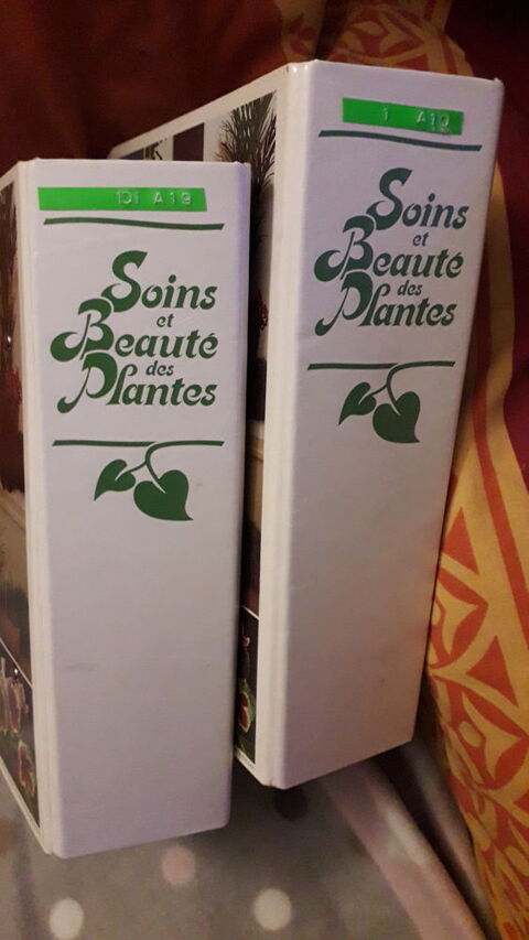 Comment entretenir fleurs et plantes 20 Benfeld (67)