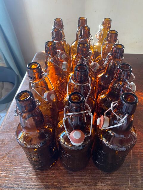 15 anciennes bouteille de bière Fischer 66 cl 55 Mittainvilliers (28)