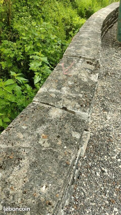 Dessus de mur 35 Rainville (88)