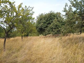 Terrain à vendre 3500 m² Holling