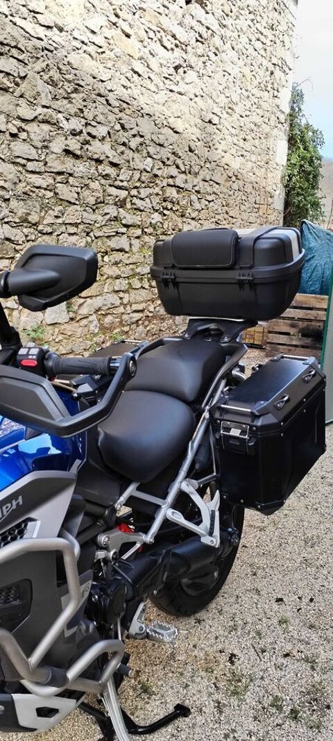 Moto TRIUMPH 2023 occasion Ambl&eacute;on 01300