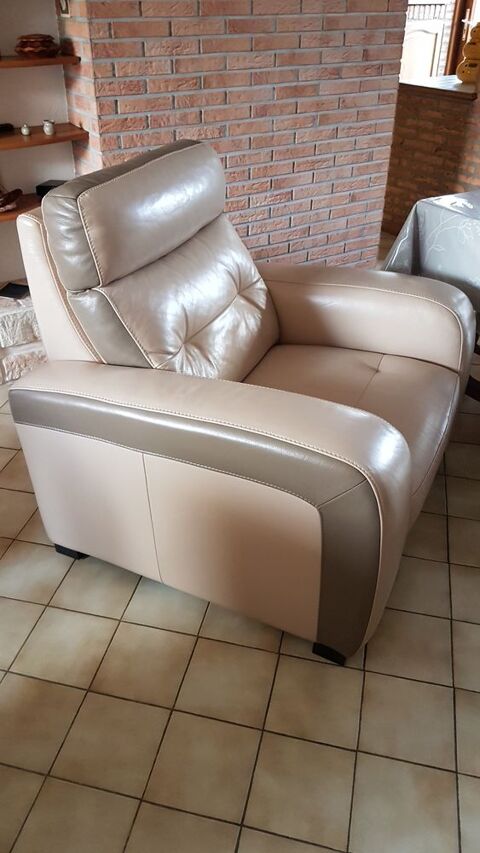 Fauteuil fixe en cuir 130 Marck (62)