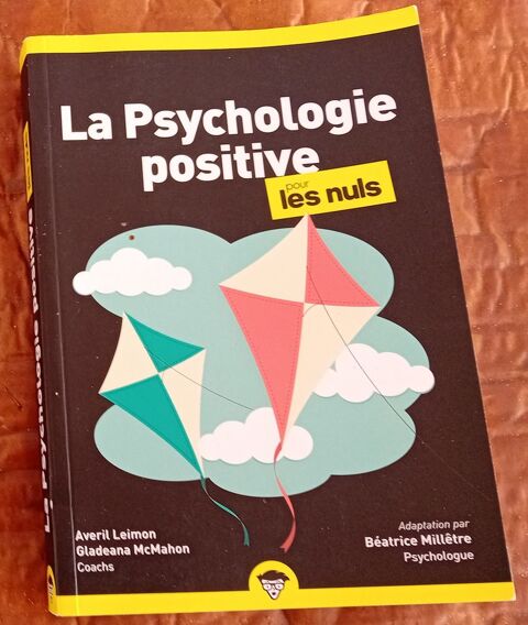1 Livre La Psychologie Positive Les Nuls 3 Saint-Dizier (52)