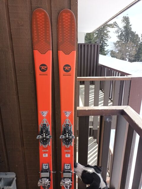 Skis de randonn�e + chaussures insert 250 La Plagne (73)