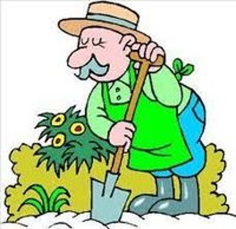   ¤¤¤ HOMME EFFECTUE VOS TACHES ¤¤¤  