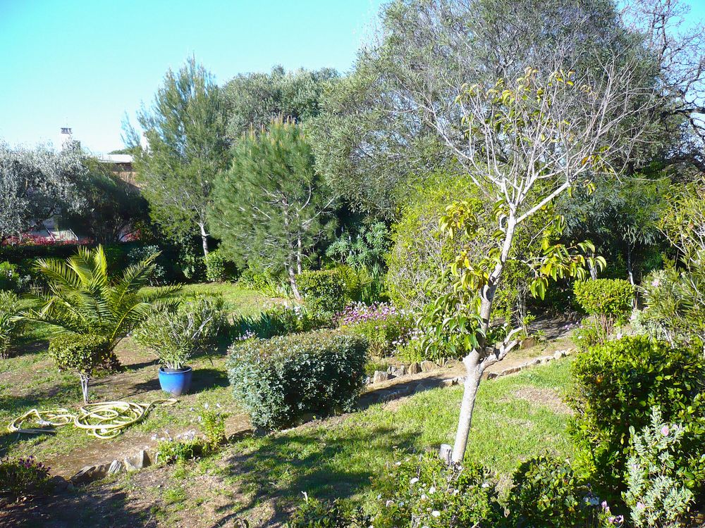 Vente Terrain Terrain 575 m2 + terrain 600 m2 + villa 2 niveaux Six-fours-les-plages