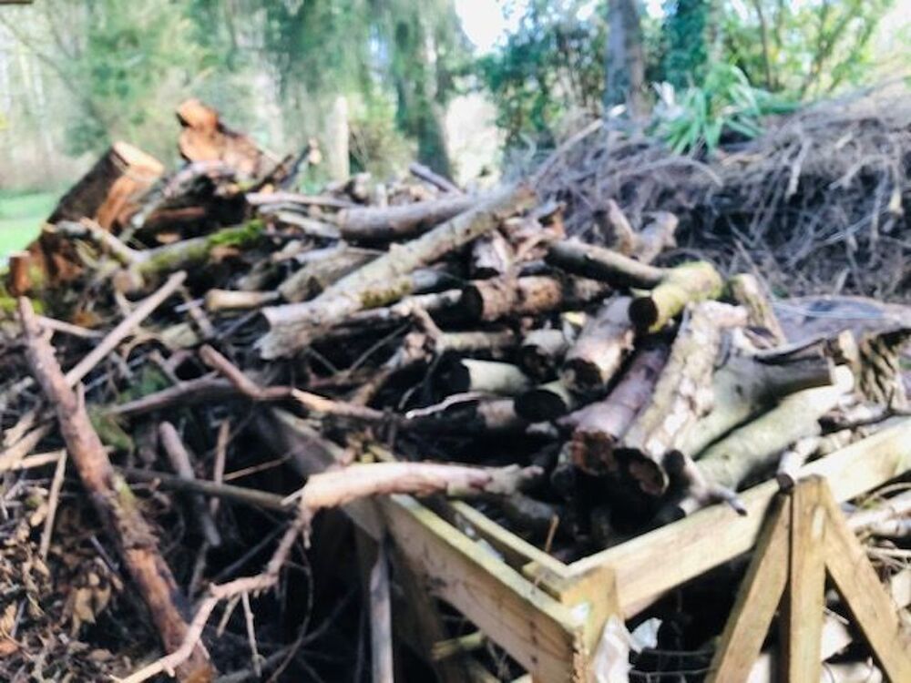 BOIS DE CHAUFFAGE Jardin