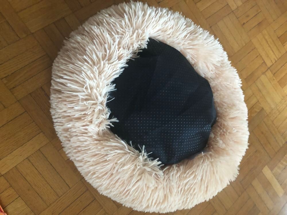 coussin chien Meubles