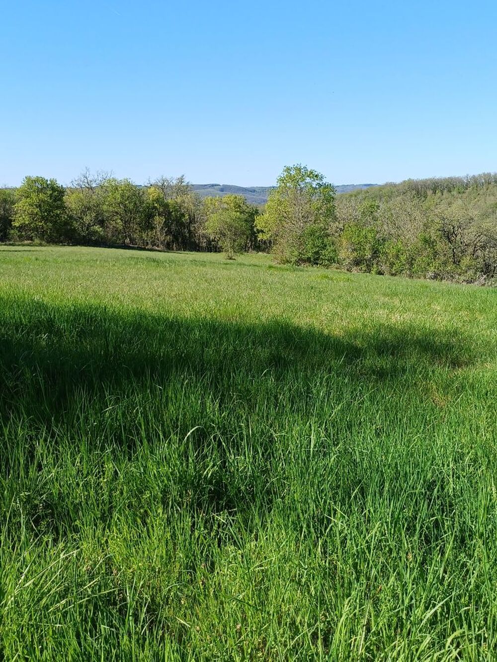 Vente Terrain TERRAIN 7 435 M2 : 59 000 € Saint-germain-du-bel-air