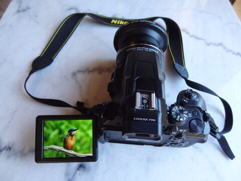 Nikon P950 0 Poitiers (86)